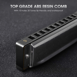 Blues Harmonica 10 Hole Harmonicas Key of C for Children/ Beginners Mouth Organ and Case