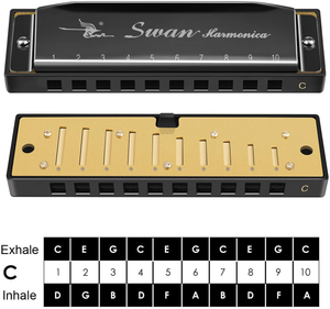Blues Harmonica 10 Hole Harmonicas Key of C for Children/ Beginners Mouth Organ and Case