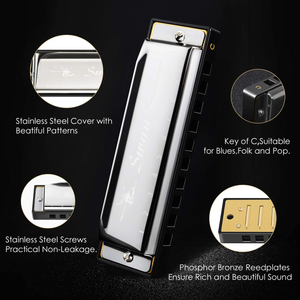 Blues Harmonica 10 Hole Harmonicas Key of C for Children/ Beginners Mouth Organ and Case